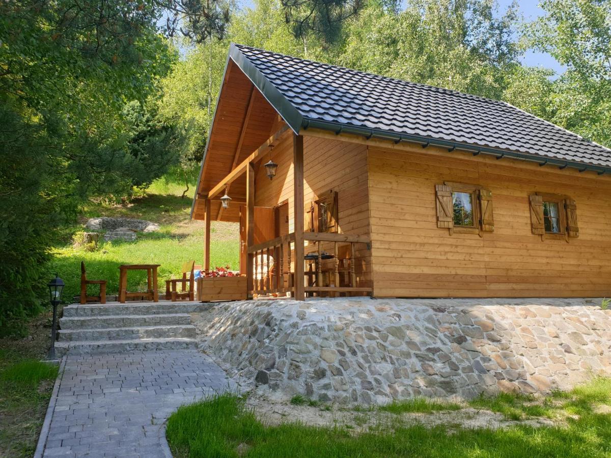 Domki Letniskowe Pod Lasem Koziniec Bagian luar foto
