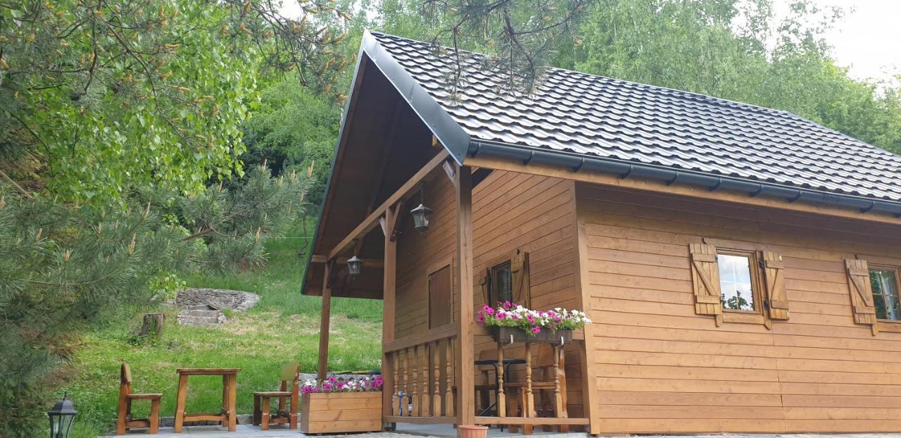 Domki Letniskowe Pod Lasem Koziniec Bagian luar foto