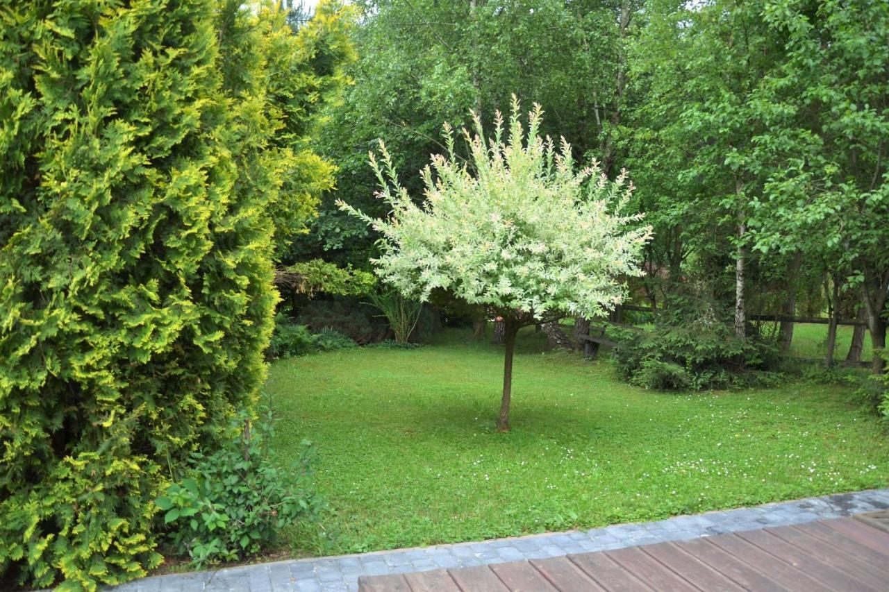 Domki Letniskowe Pod Lasem Koziniec Bagian luar foto