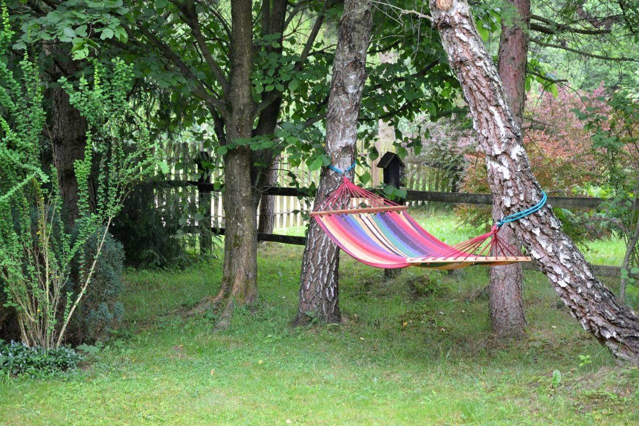 Domki Letniskowe Pod Lasem Koziniec Bagian luar foto