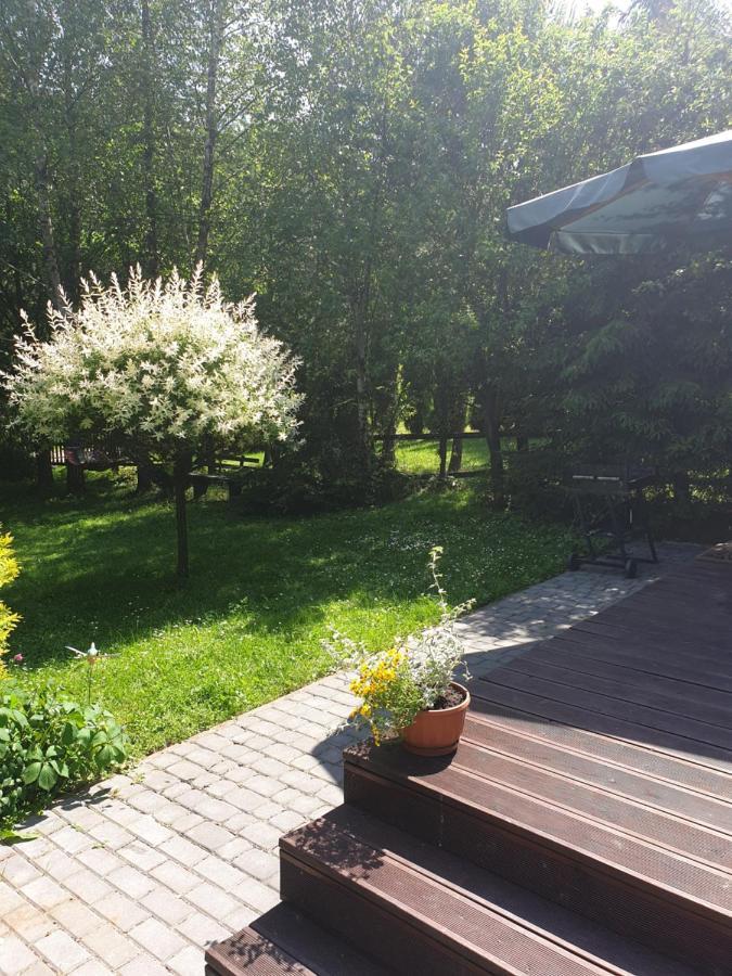Domki Letniskowe Pod Lasem Koziniec Bagian luar foto
