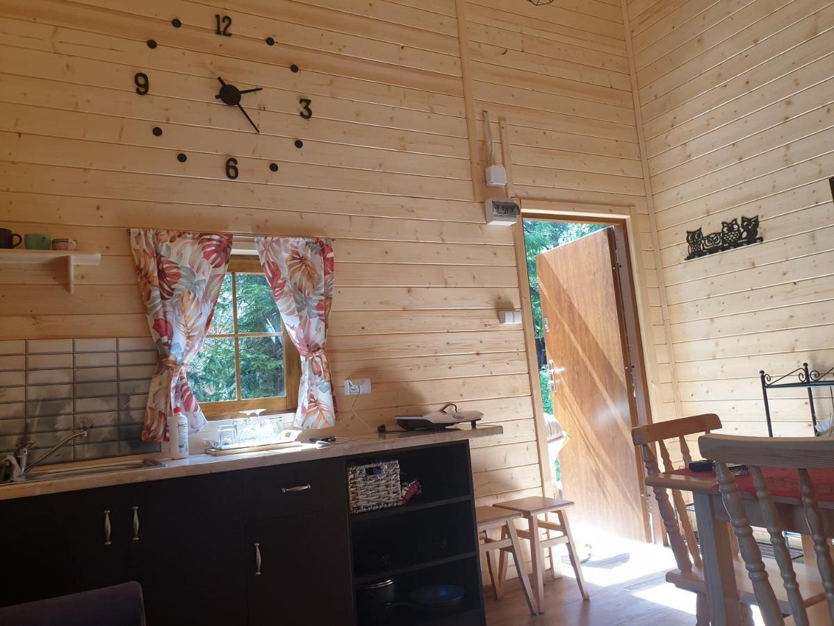Domki Letniskowe Pod Lasem Koziniec Bagian luar foto
