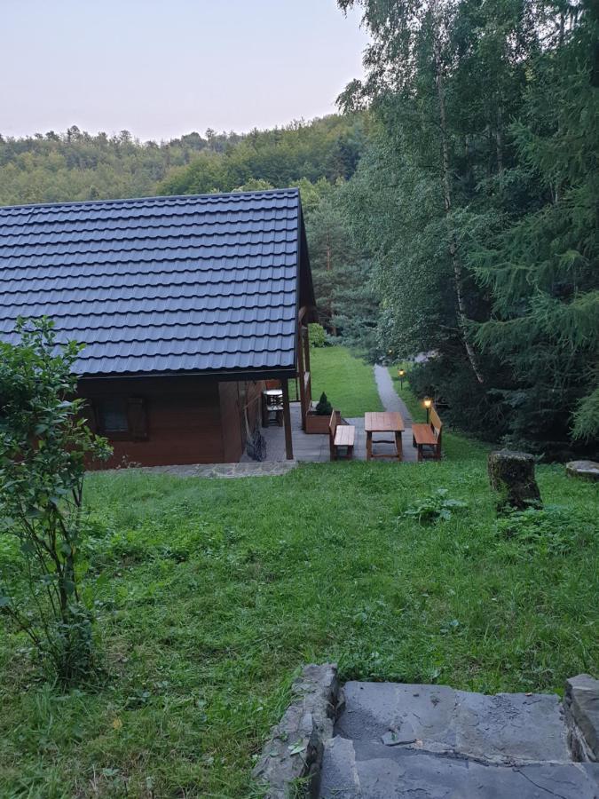 Domki Letniskowe Pod Lasem Koziniec Bagian luar foto