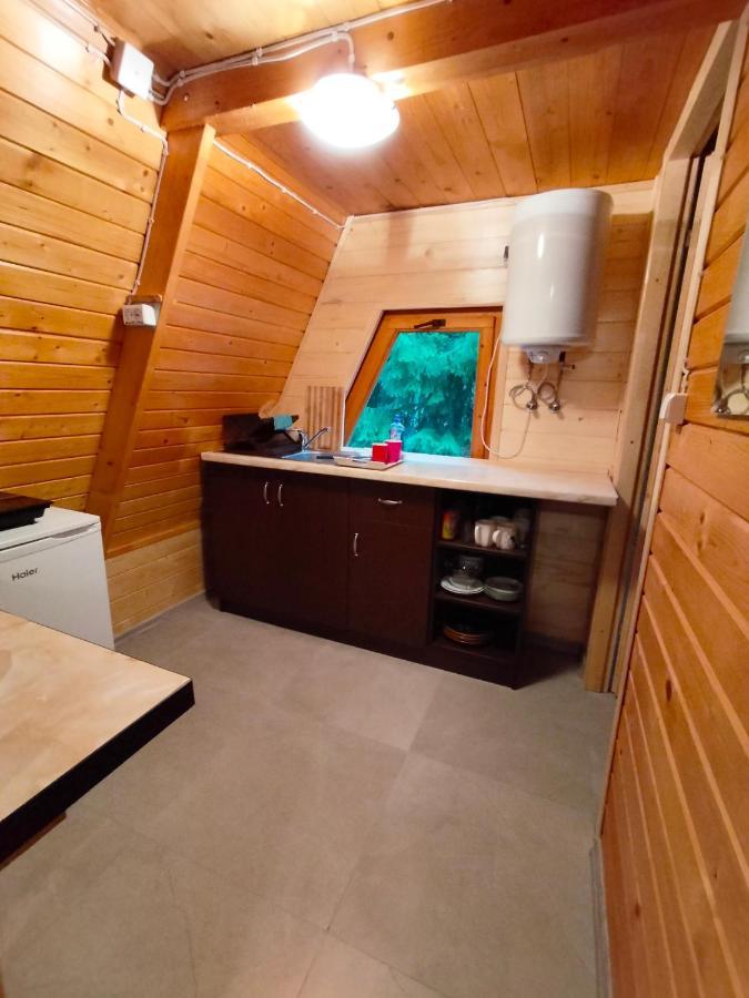 Domki Letniskowe Pod Lasem Koziniec Bagian luar foto